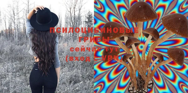 мяу мяу кристалл Магас